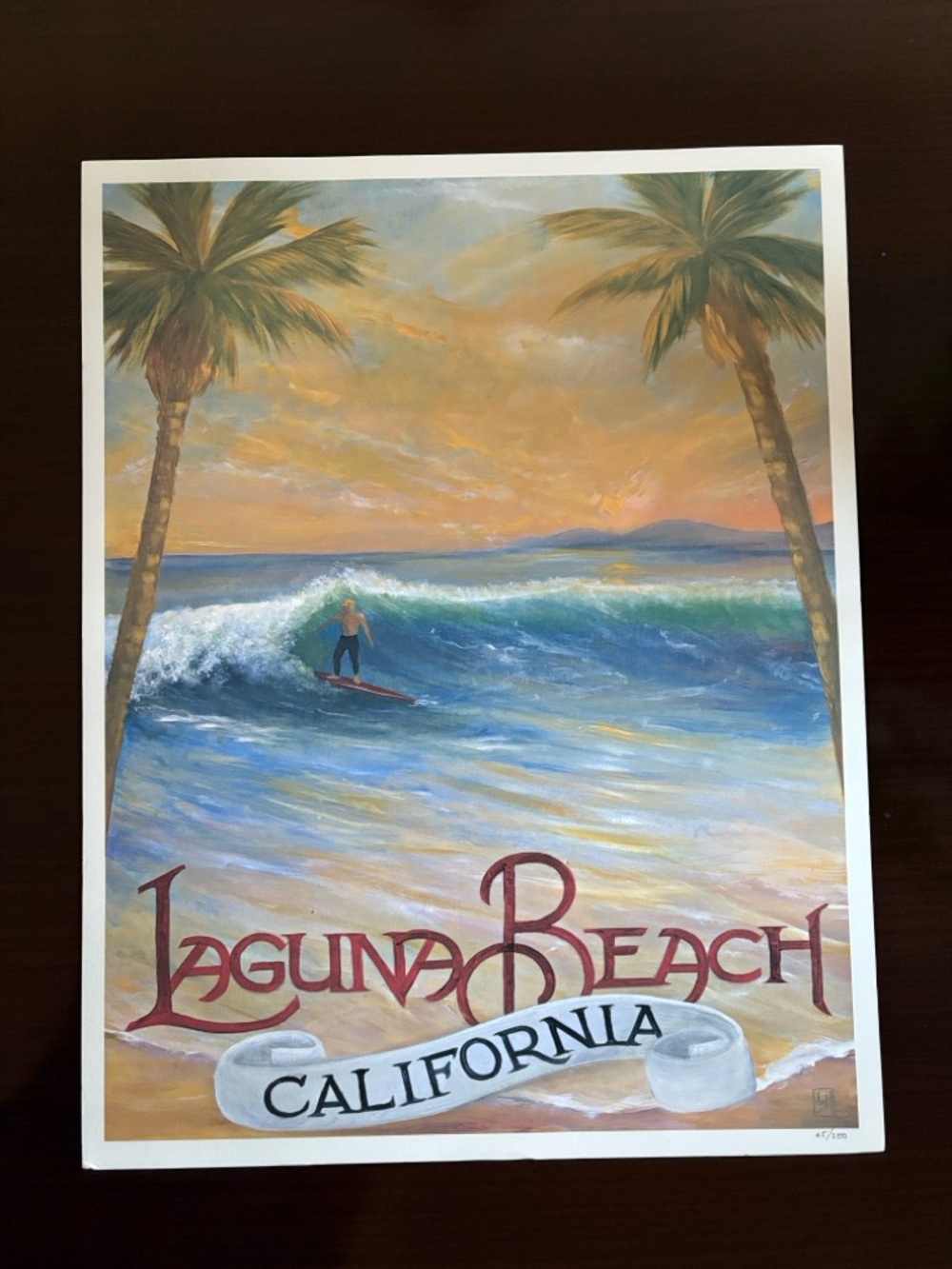 Laguna Beach California Surf Sunset Palm Beach